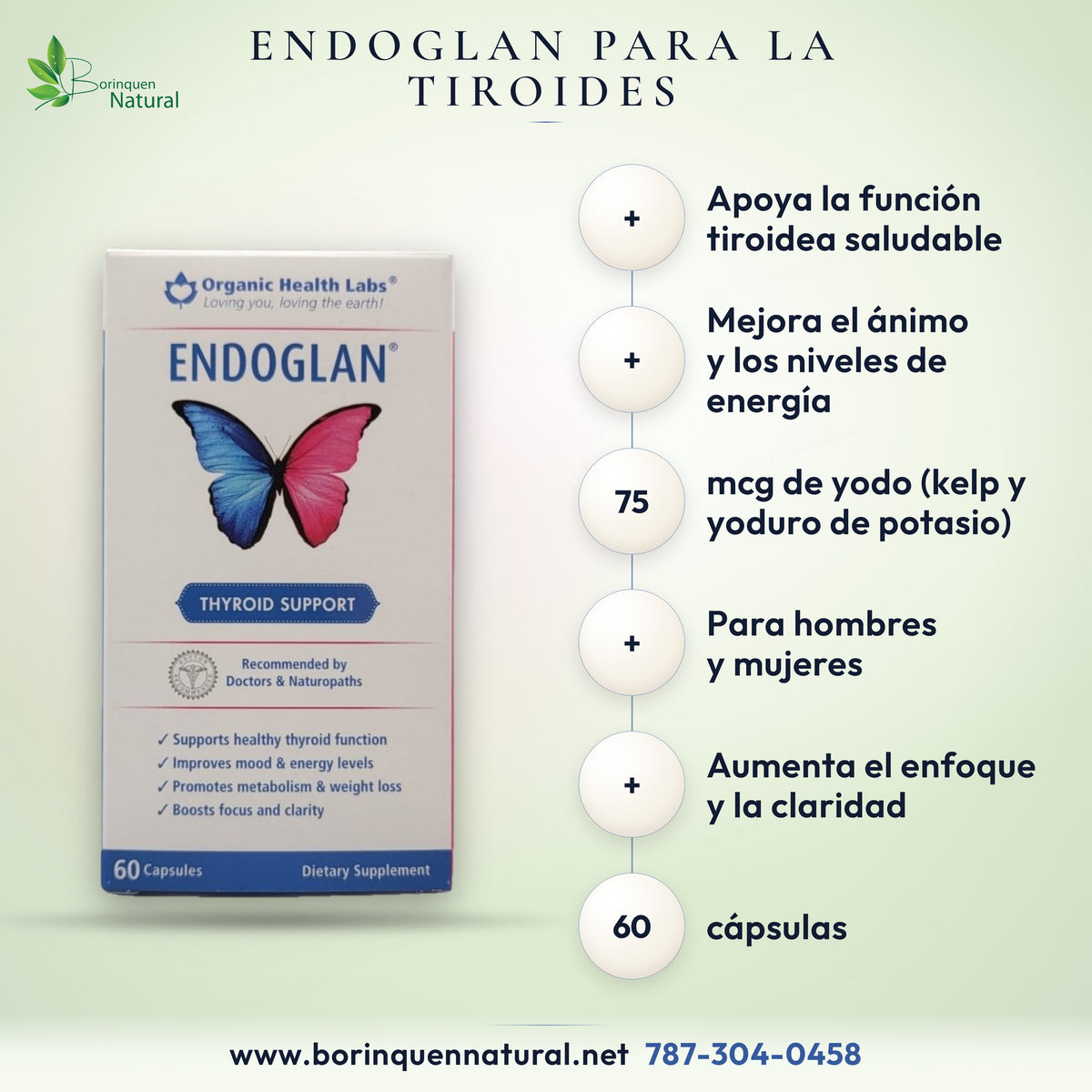 Endoglan by Organic Health Labs, thyroid support with kelp iodine, L-tyrosine and vitamins, 60 capsules