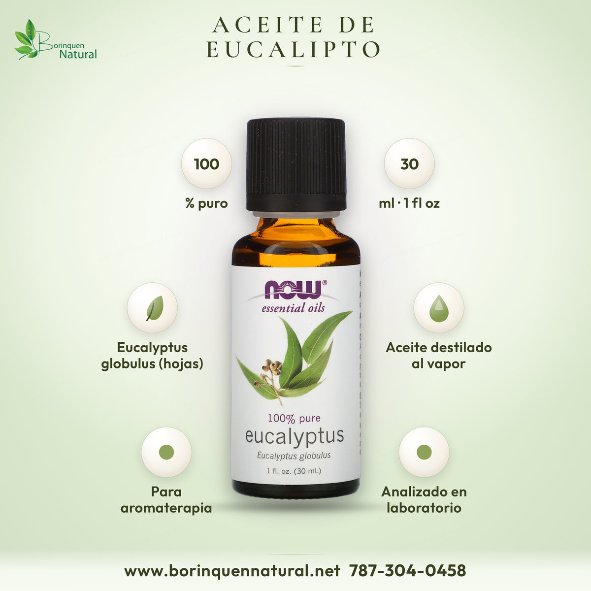Aceite esencial de eucalipto NOW Essential Oils, 100% puro Eucalyptus globulus, frasco de vidrio ámbar de 1 fl oz (30 ml)
