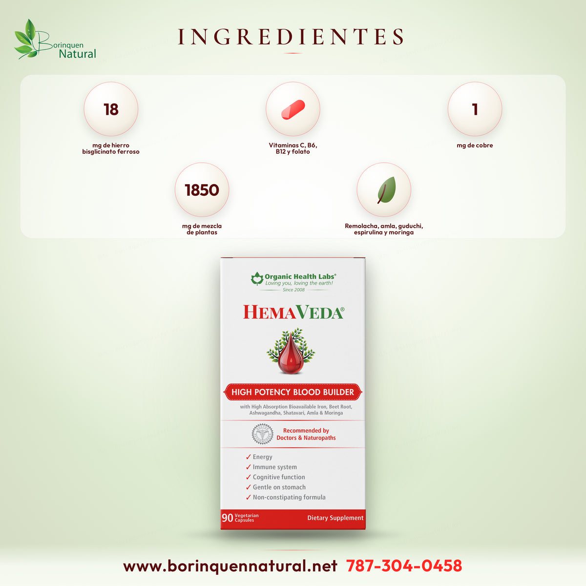 Blood Builder HemaVeda con Hierro 18 mg, B12 y Folato, 90 Cápsulas de Organic Health Labs — vista posterior del envase