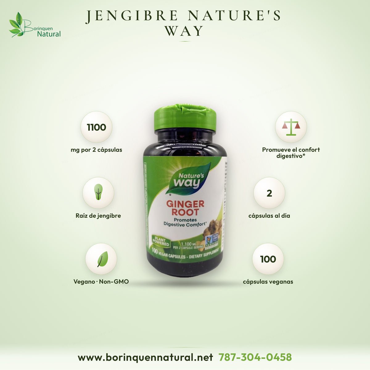 Raíz de jengibre de Nature's Way, promueve el confort digestivo, frasco de 100 cápsulas veganas