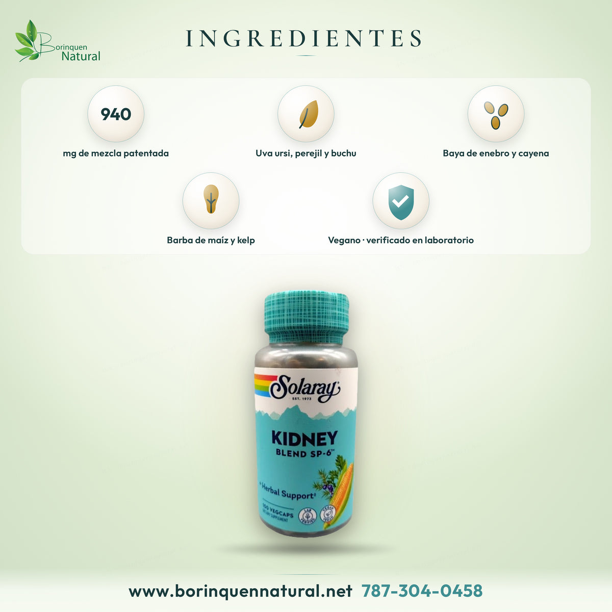 Ingredientes del Kidney Blend SP-6 de Solaray: barba de maíz, perejil, uva ursi, amor de hortelano, pimienta de cayena, enebro, kelp, buchu y reina de los prados