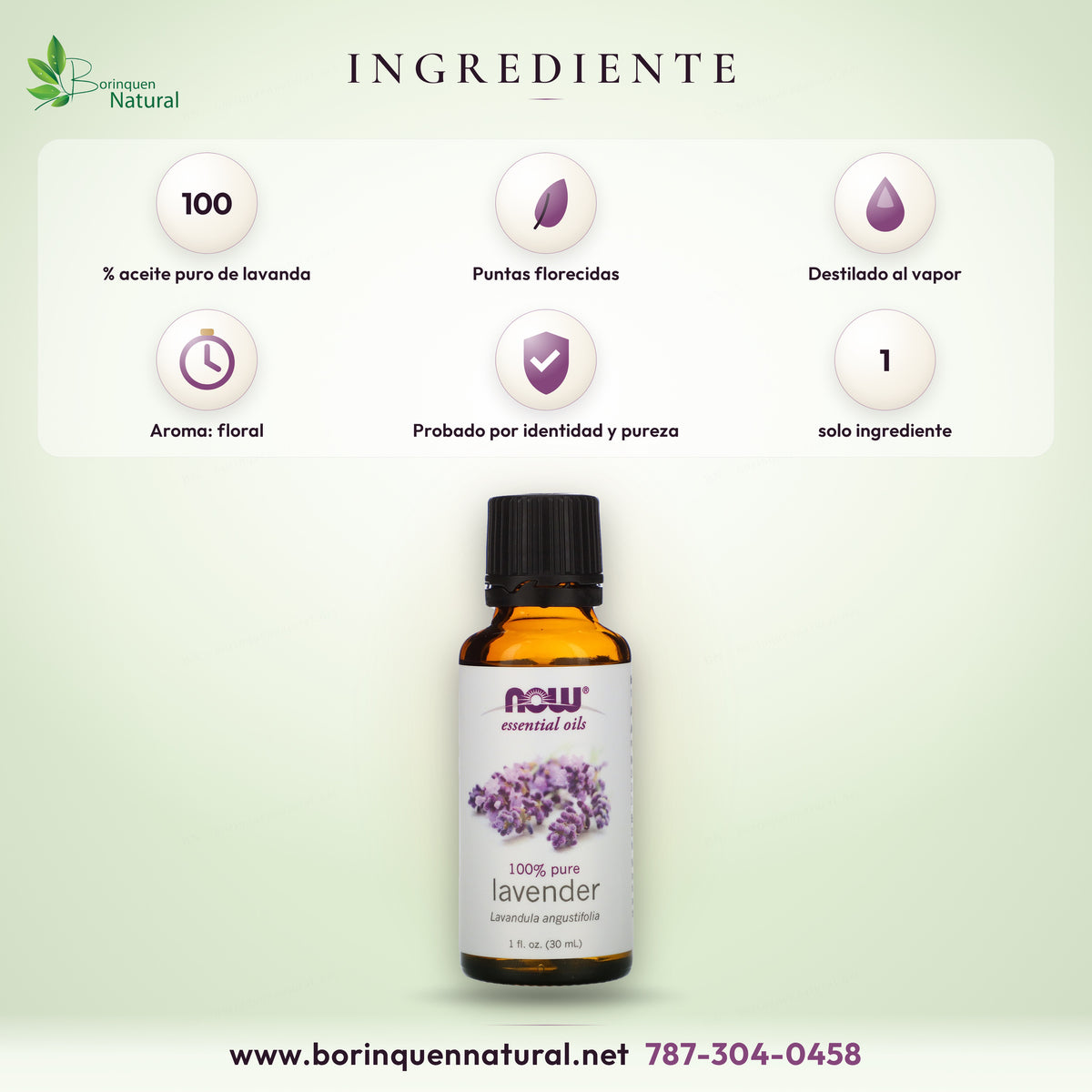 Ingrediente del aceite esencial de lavanda NOW: 100% aceite puro de lavanda, destilado al vapor de las puntas florecidas
