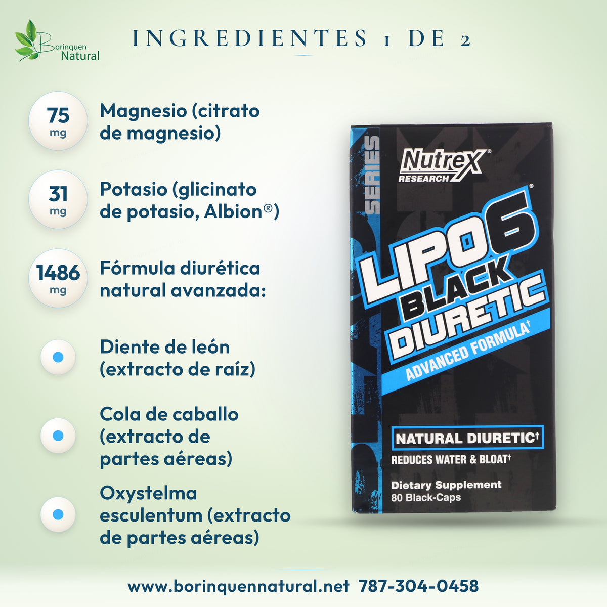 Ingredientes de Lipo-6 Black Diuretic (1 de 2): magnesio, potasio, diente de león, cola de caballo y Oxystelma