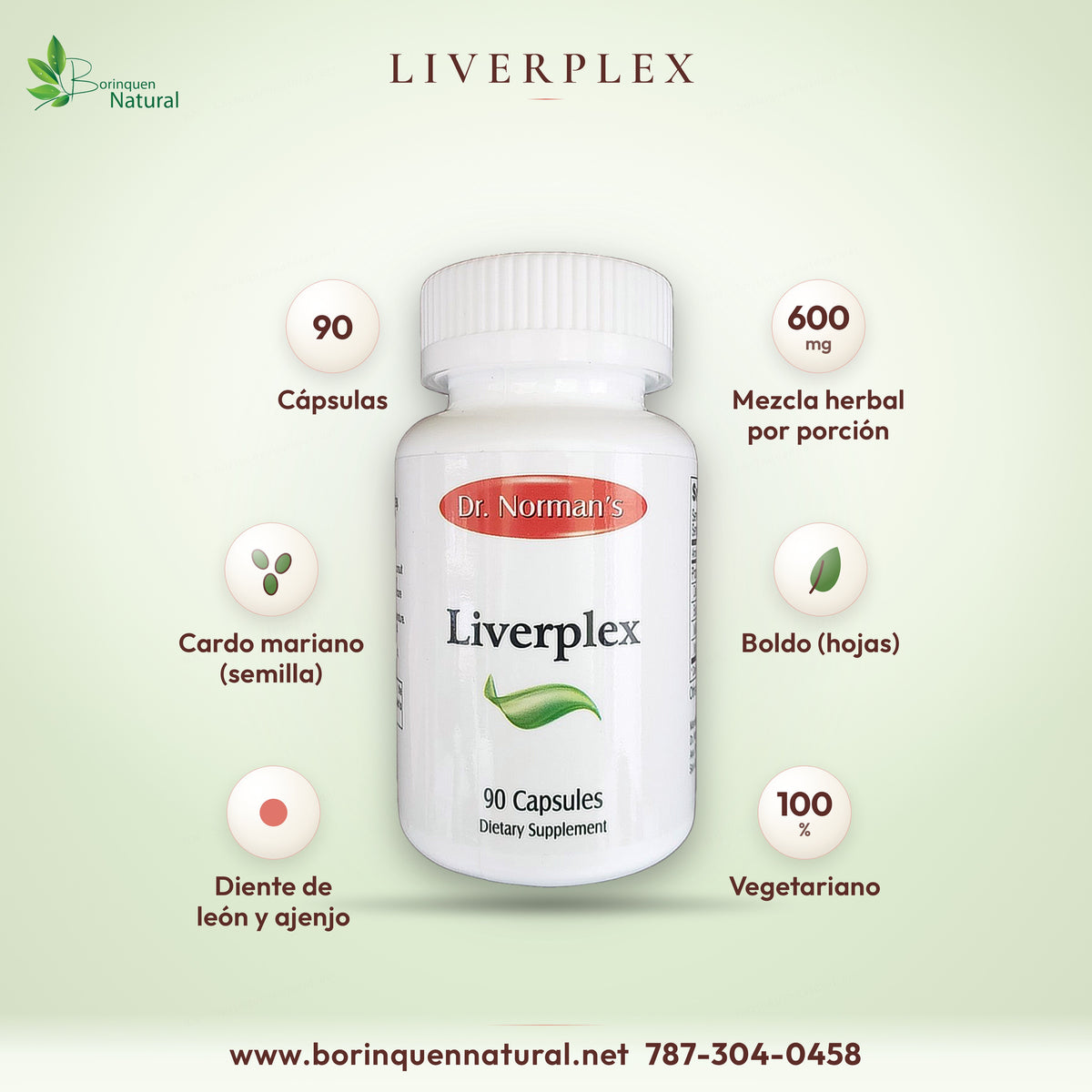Liverplex de Dr. Norman's, 90 cápsulas, mezcla herbal de 600 mg con diente de león, boldo, cardo mariano y ajenjo