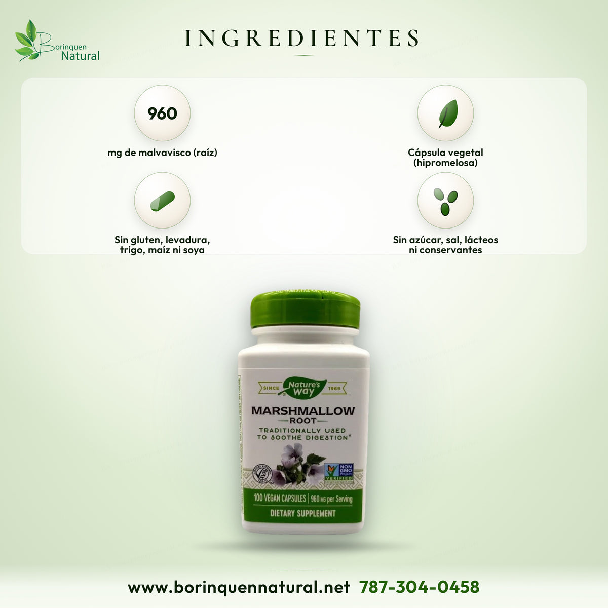 Ingredientes de la raíz de malvavisco de Nature's Way: 960 mg de raíz por porción en cápsula vegetal