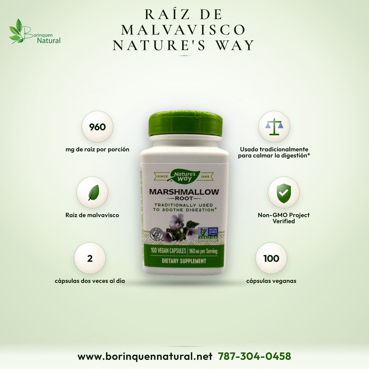 Marshmallow Root de Nature's Way, usado tradicionalmente para calmar la digestión, 960 mg por porción, 100 cápsulas veganas