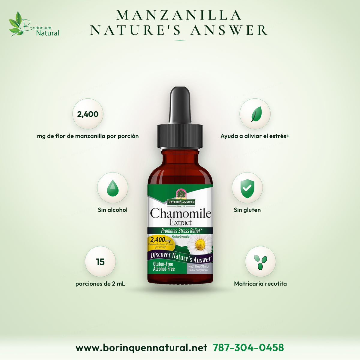 Extracto de flor de manzanilla sin alcohol de Nature's Answer, frasco gotero de 1 fl oz (30 ml)