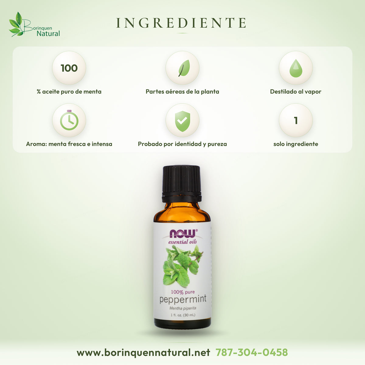 Ingrediente del aceite esencial de menta NOW: 100% aceite puro de menta, destilado al vapor de las partes aéreas