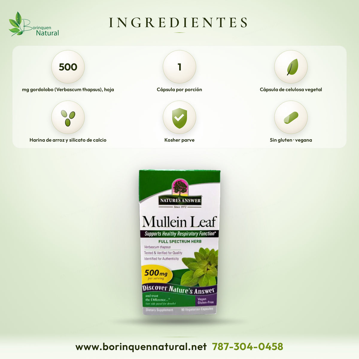 Ingredientes del gordolobo de Nature's Answer: 500 mg de hoja de Verbascum thapsus en cápsula de celulosa vegetal, con harina de arroz y silicato de calcio