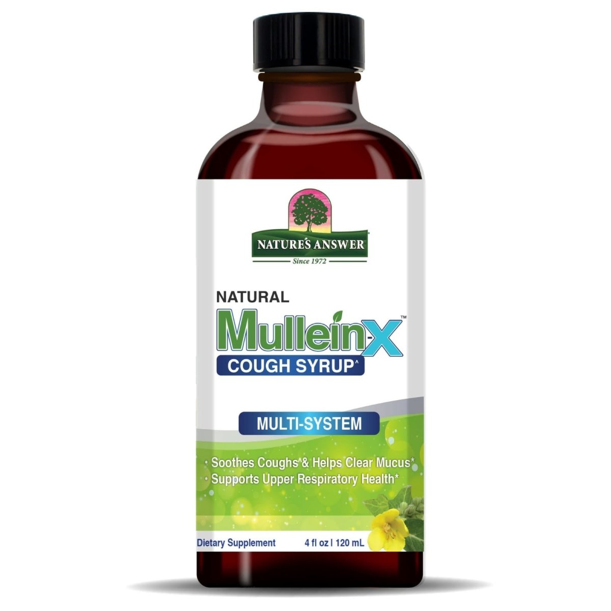 Mullein-X Cough Syrup, 4 oz Nature's Answer
