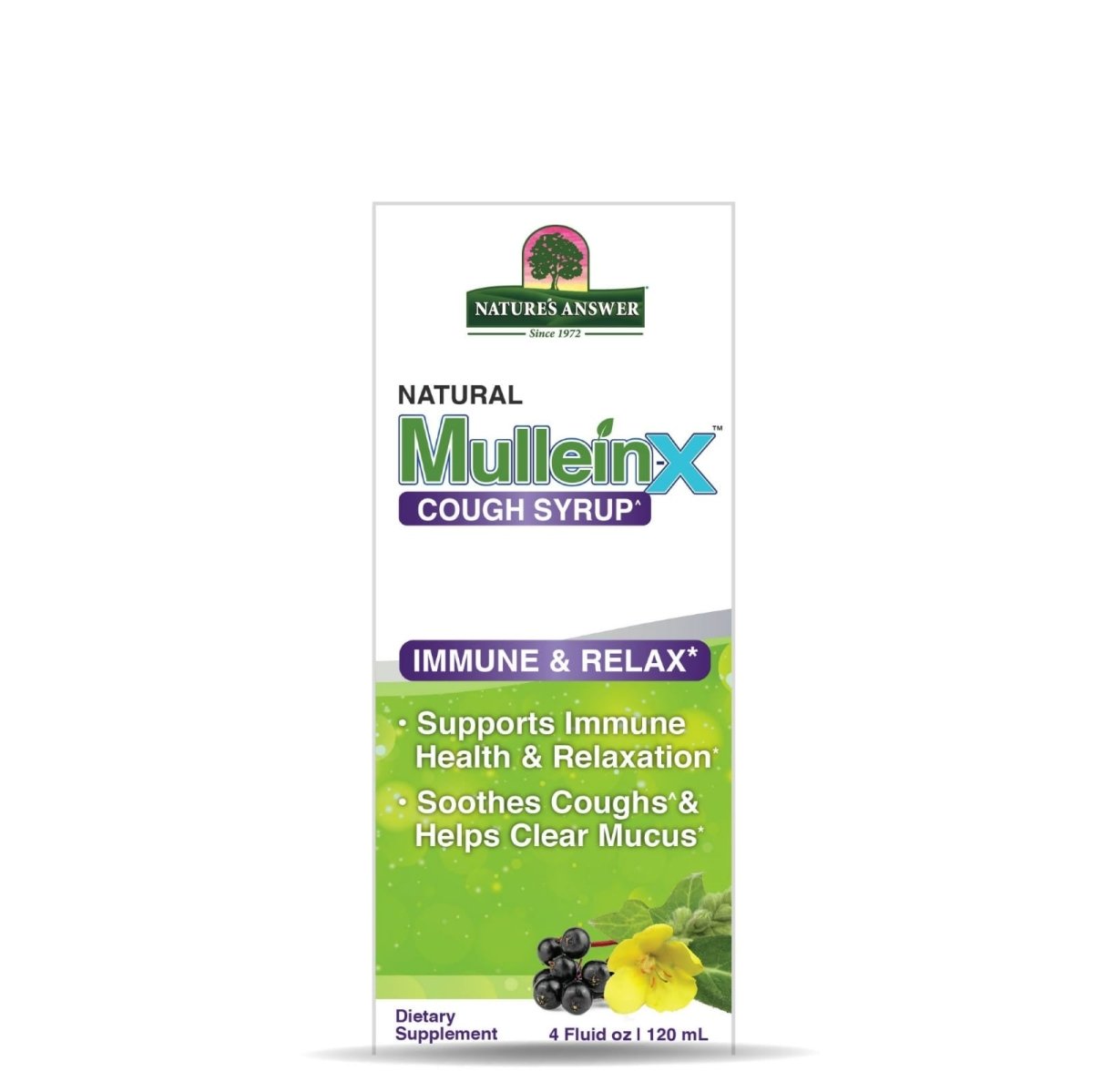 Mullein-X Immune &amp; Relax Cough Syrup, 4 oz Nature's Answer