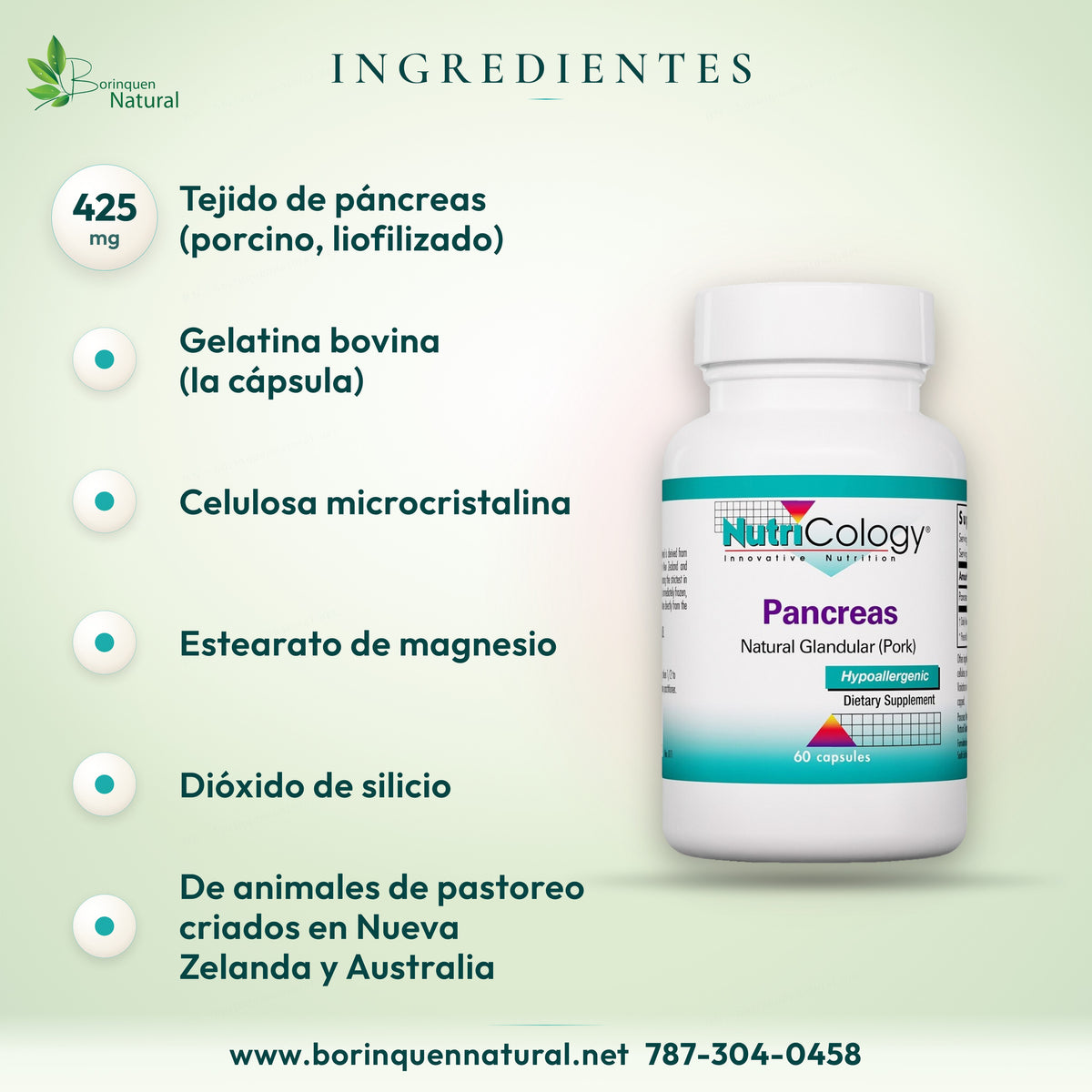 Ingredientes: páncreas porcino liofilizado 425 mg, gelatina bovina, celulosa, estearato de magnesio y dióxido de silicio