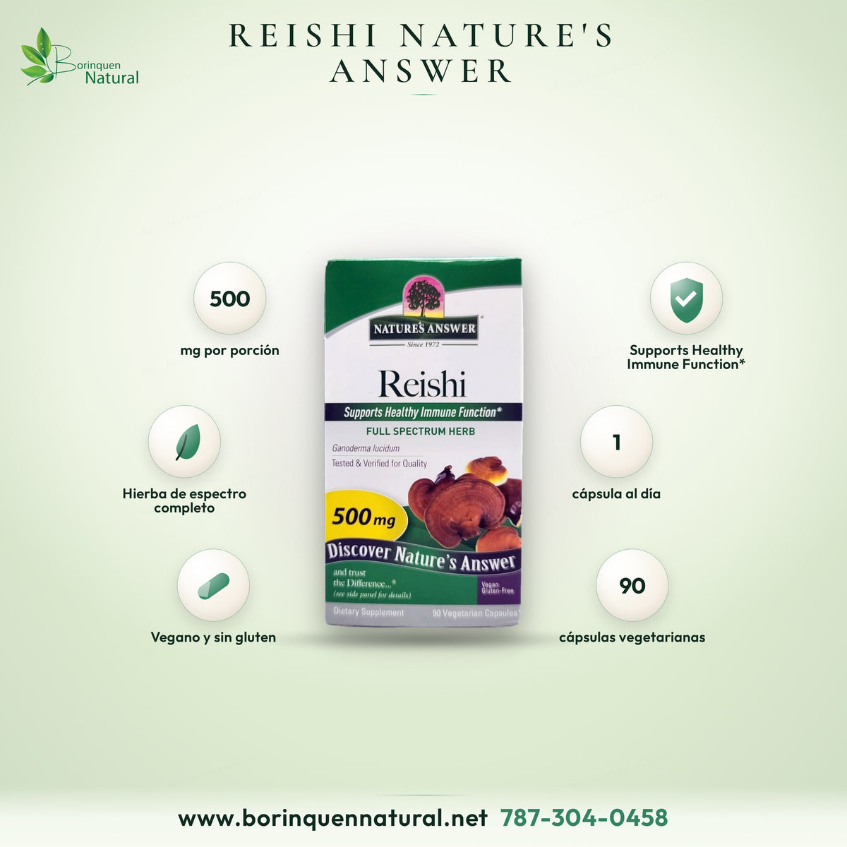 Reishi (Ganoderma lucidum) de Nature's Answer, 500 mg por cápsula, 90 cápsulas vegetarianas
