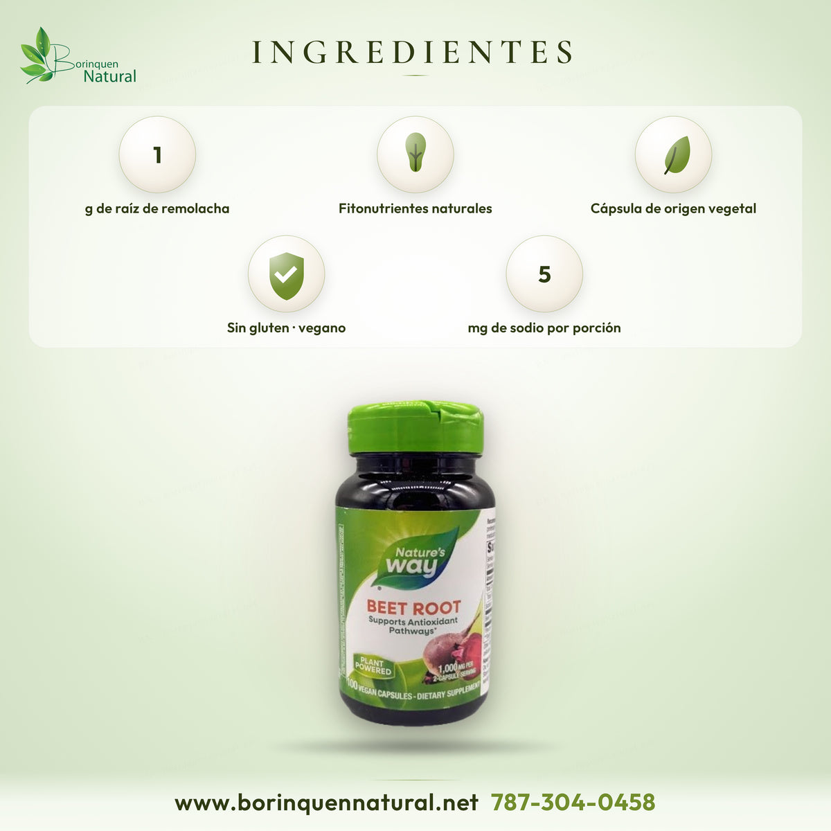 Ingredientes del Beet Root de Nature's Way: 1 g de raíz de remolacha por porción en cápsula vegetal, sin gluten