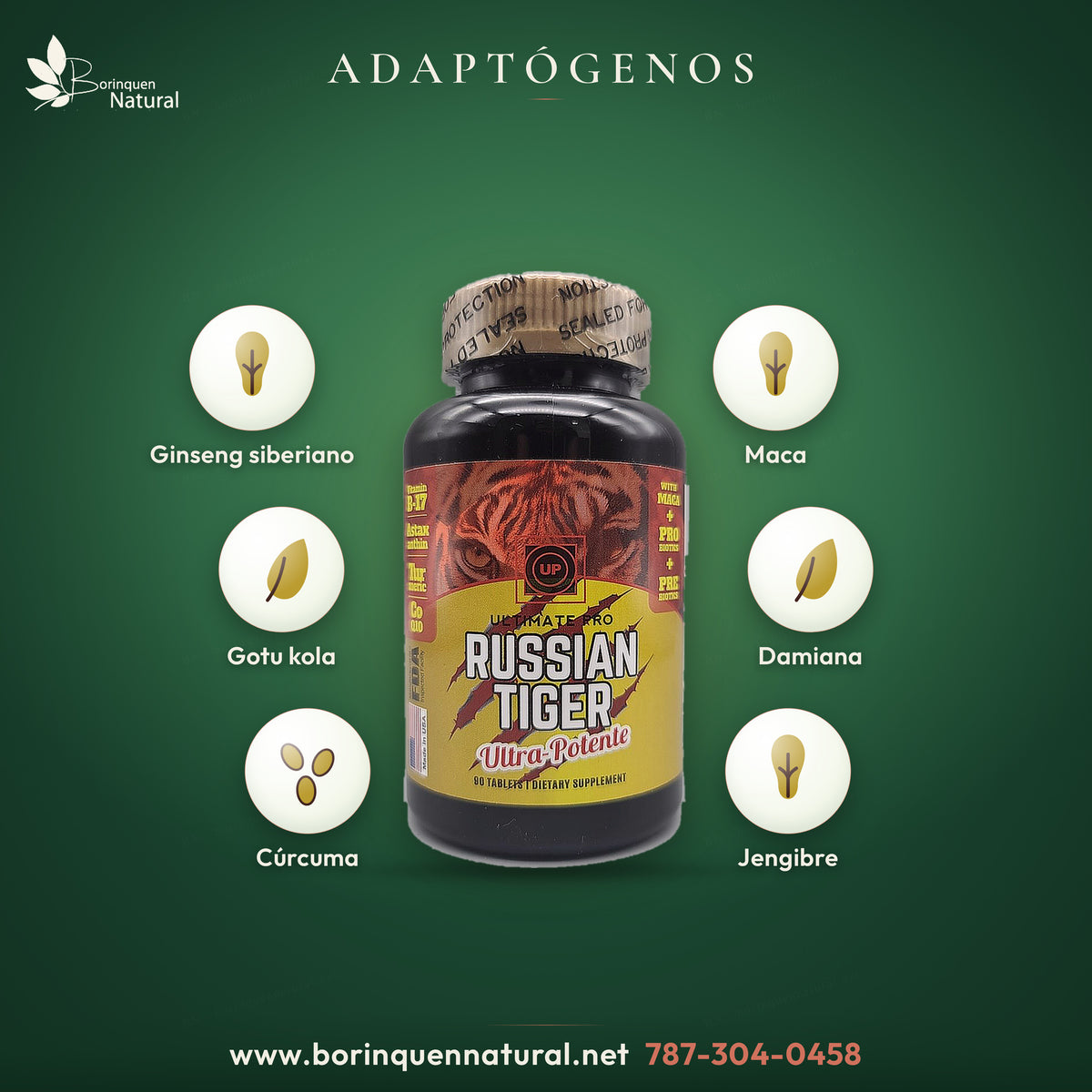 Hierbas y adaptógenos del Russian Tiger: ginseng siberiano, maca, gotu kola, damiana, cúrcuma y jengibre