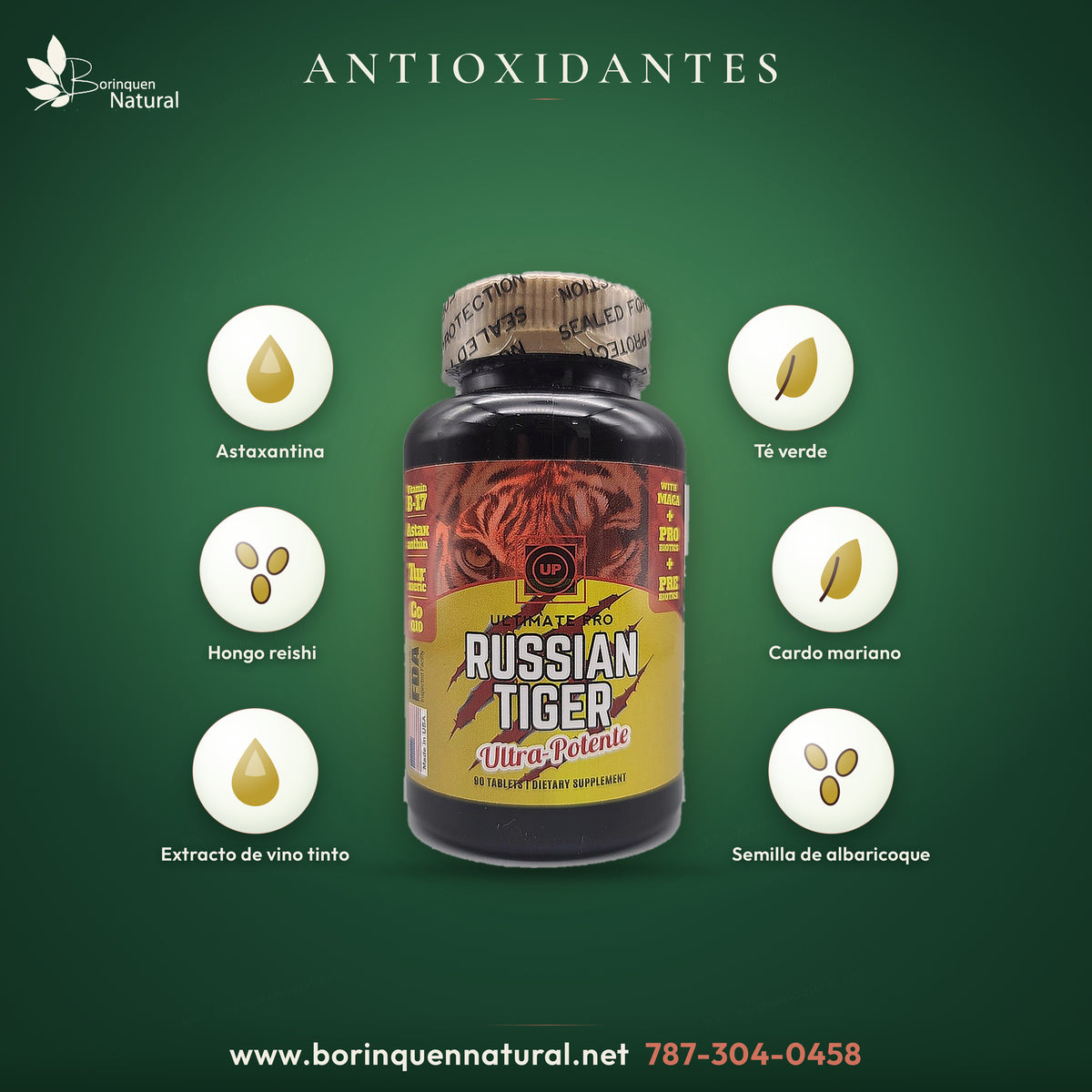 Antioxidantes del Russian Tiger: astaxantina, té verde, hongo reishi, cardo mariano y semilla de albaricoque