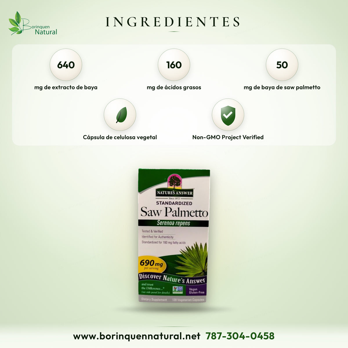 Saw Palmetto Estandarizado 690 mg Nature's Answer, 120 Cáps Veganas — vista posterior del envase