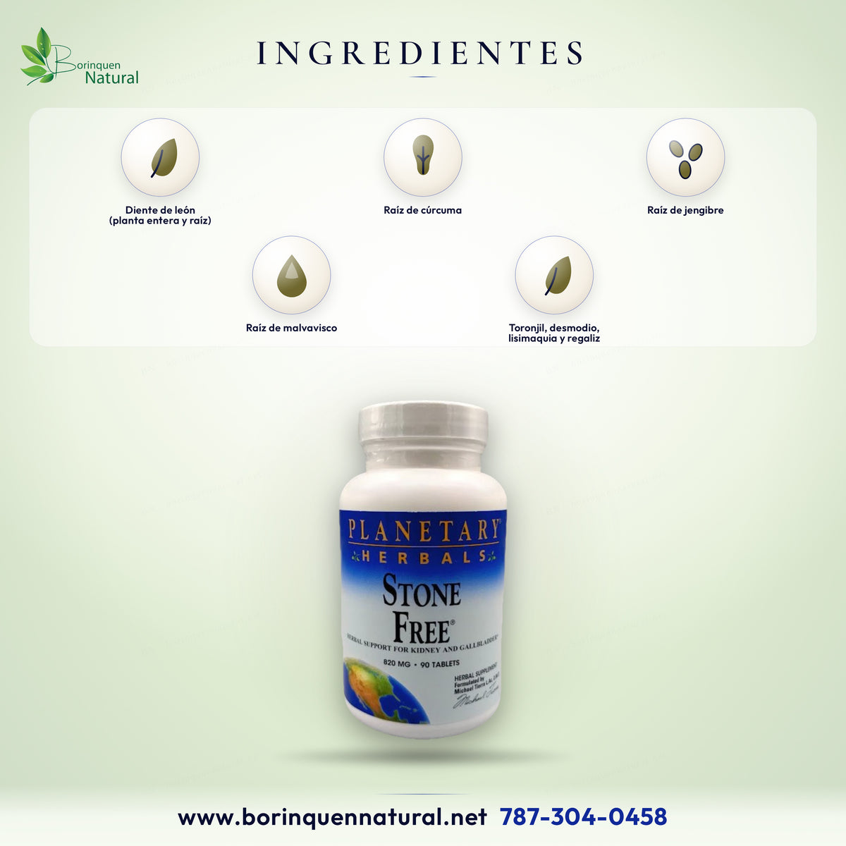 Ingredientes de Stone Free: diente de león, cúrcuma, jengibre, malvavisco, toronjil, desmodio y regaliz