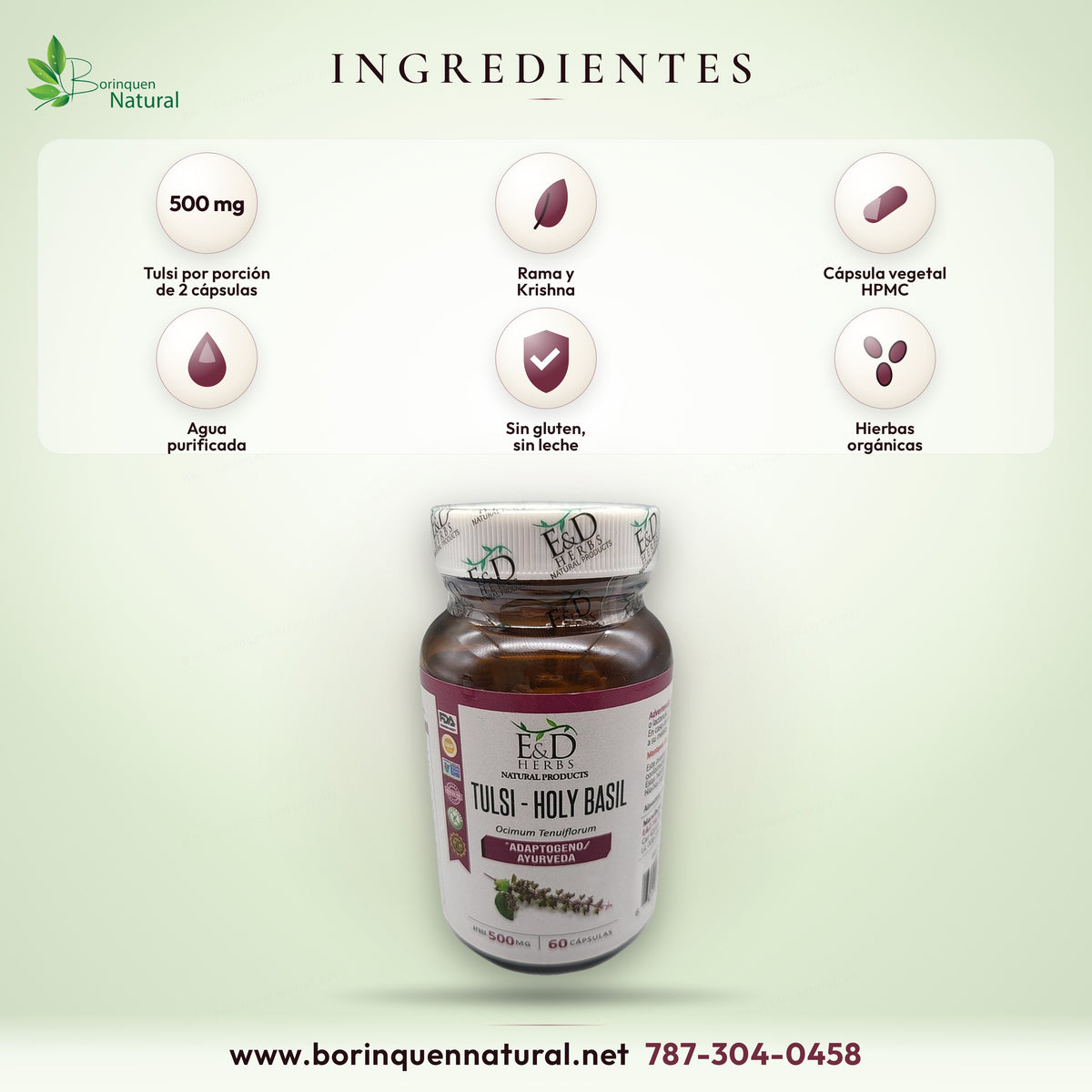Ingredientes del Tulsi E&D: hoja Rama y Krishna, cápsula vegetal y agua