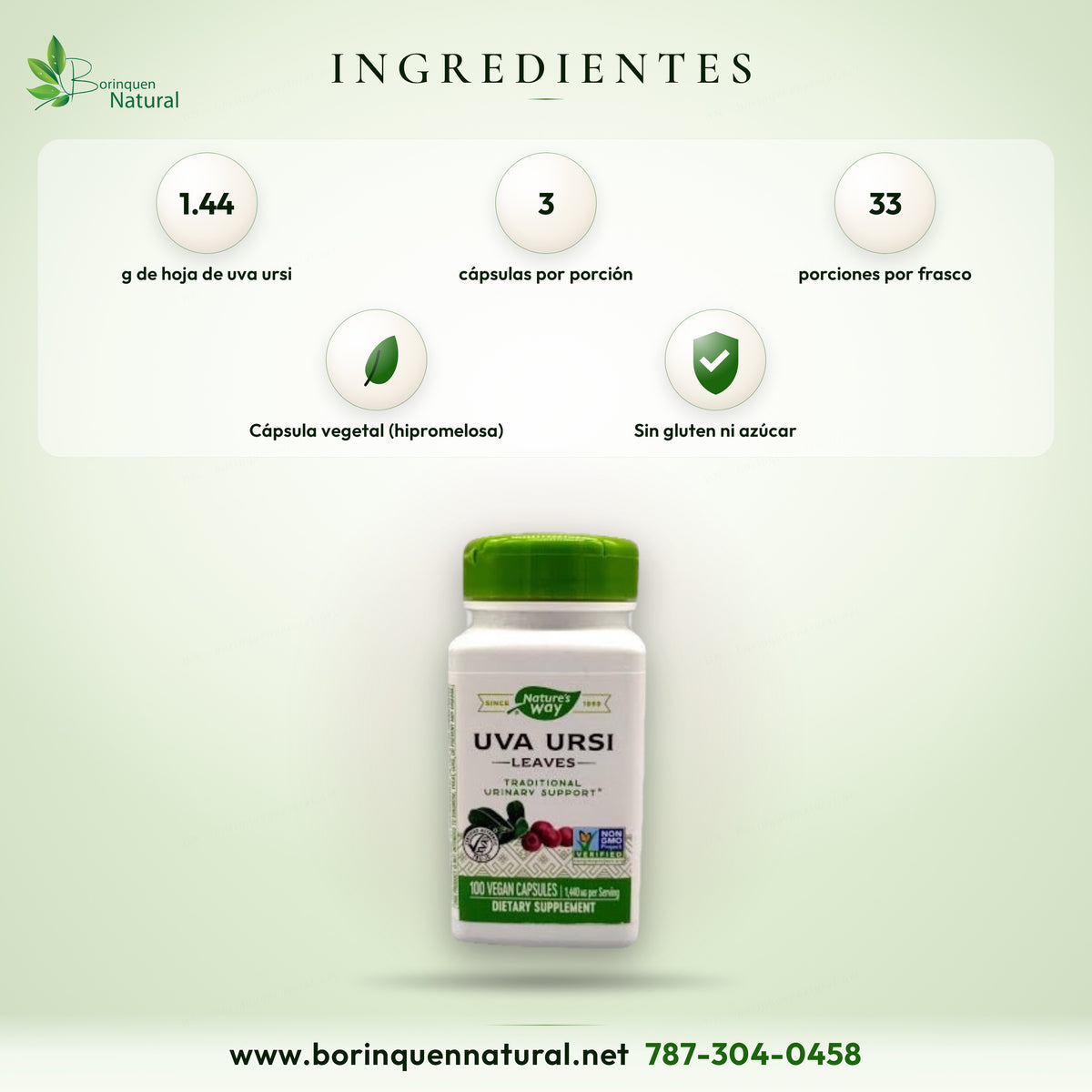 Ingredientes del Uva Ursi de Nature's Way: 1.44 g de hoja de uva ursi por porción de 3 cápsulas vegetales