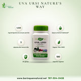 Uva Ursi en Cápsulas Nature's Way, Hoja 1,440 mg, 100 Cápsulas Veganas