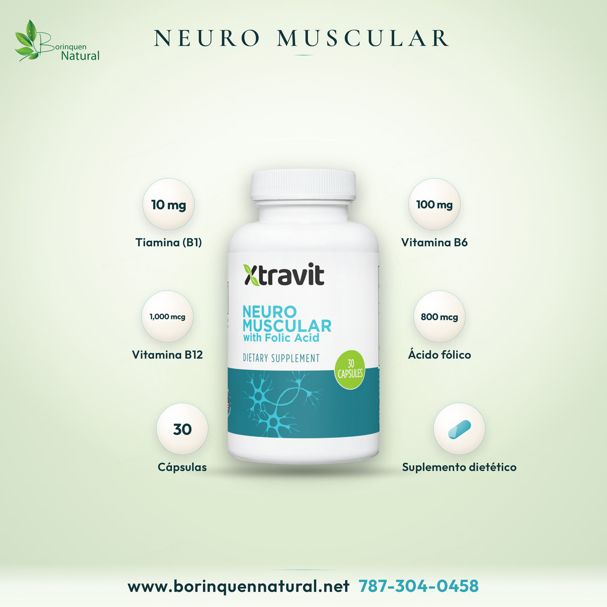 Neuro Muscular con ácido fólico de Xtravit, vitaminas B1, B6 y B12, frasco de 30 cápsulas