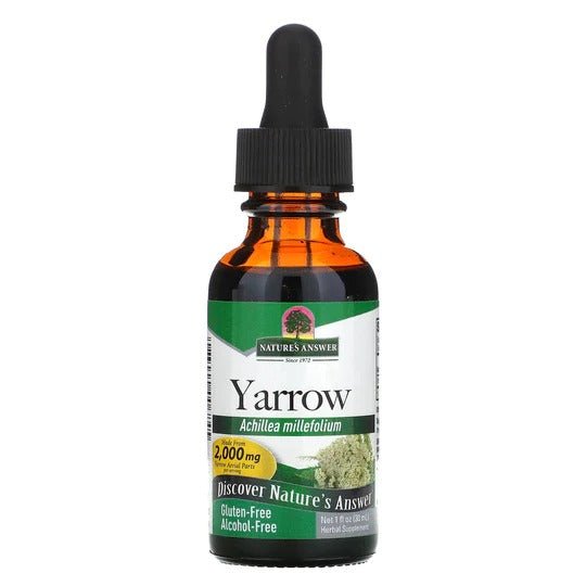 Yarrow Flowers Alcohol Free Extract 1 oz Nature's Answer