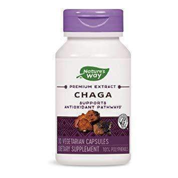 Chaga Supports Antioxidant Pathways