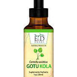 Gotu Kola Tintura 1 oz para Memoria, Piel y Circulación