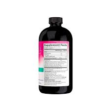 Hyaluronic Acid Blueberry Liquid 16 OZ