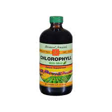 Mint Chlorophyll Liquid 16 OZ