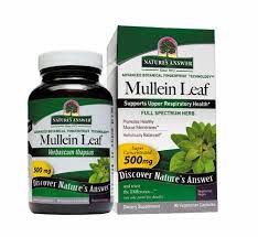 Mullein Leaf -- 500 mg - 90 Cápsulas Vegetarianas