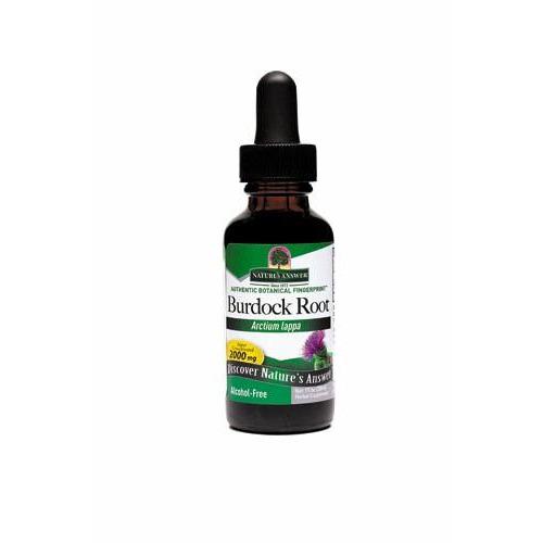 Nature&#39;s Answer Burdock Root, Alcohol-Free Extract, 1 fl oz  
