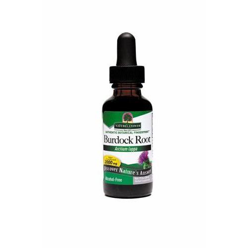 Nature's Answer Burdock Root, Alcohol-Free Extract, 1 fl oz  