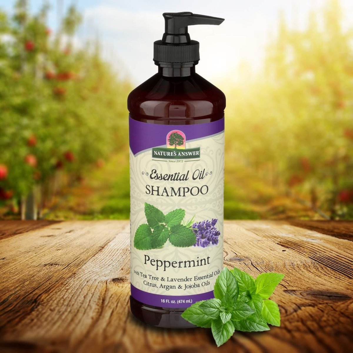 Nature's Answer Essential Oil Shampoo, Peppermint, 16-Ounce