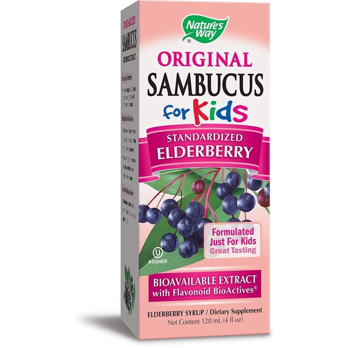 Nature's Way Sambucus for Kids Dietary Supplement Syrup Elderberry  